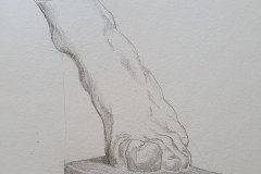 Bargue Study: Foot