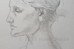 Sketch: Woman in Profile