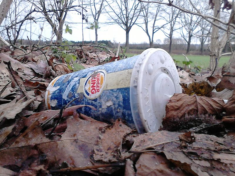 empty burger king drink cup lying in autumn leaves